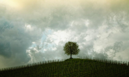 Q1 for Mentors (Track)